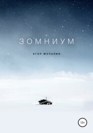 бесплатно читать книгу Зомниум автора Егор Мочалин