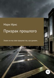 бесплатно читать книгу Призрак прошлого автора  Мари Ирис