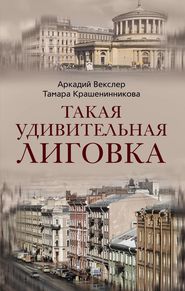 бесплатно читать книгу Такая удивительная Лиговка автора Тамара Крашенинникова
