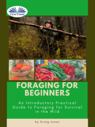 бесплатно читать книгу Foraging For Beginners автора Craig Jones