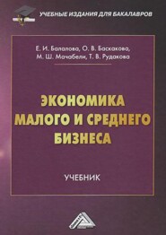 бесплатно читать книгу Экономика малого и среднего бизнеса автора Татьяна Рудакова
