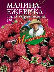 бесплатно читать книгу Малина, ежевика. Сорта, выращивание, уход автора Николай Звонарев