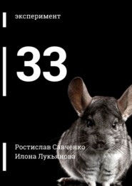 бесплатно читать книгу 33 автора Илона Лукьянова