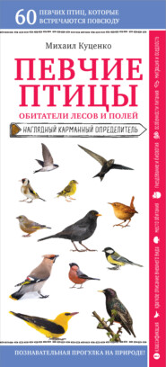 бесплатно читать книгу Певчие птицы. Обитатели лесов и полей автора Михаил Куценко