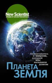 бесплатно читать книгу Планета Земля. Познакомьтесь с миром, который мы называем домом автора Наталья Липунова
