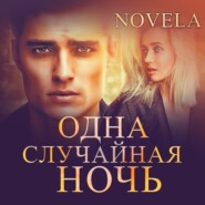 бесплатно читать книгу Одна случайная ночь автора Novela 