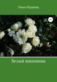 бесплатно читать книгу Белый шиповник автора Ольга Нуднова