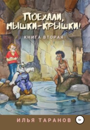 бесплатно читать книгу Поехали, мышки-крышки! Книга вторая автора Илья Таранов