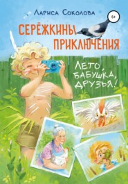 бесплатно читать книгу Сережкины приключения. Лето, бабушка, друзья автора Лариса Соколова