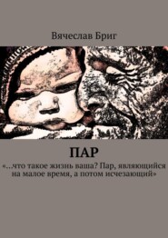 бесплатно читать книгу Пар автора Вячеслав Бриг