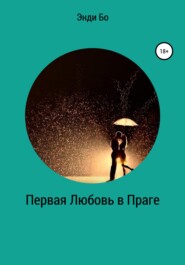 бесплатно читать книгу Первая любовь в Праге автора  Энди Бо