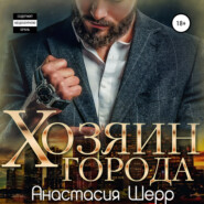 бесплатно читать книгу Хозяин города автора Анастасия Шерр