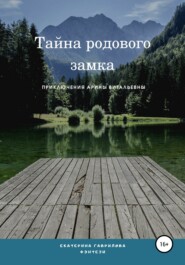 бесплатно читать книгу Арина и тайна родового замка автора Екатерина Гаврилова