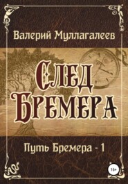 бесплатно читать книгу След Бремера автора Валерий Муллагалеев