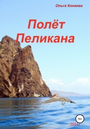 бесплатно читать книгу Полёт пеликана автора Ольга Конаева