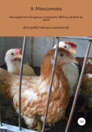 бесплатно читать книгу Как вырастить 52 курицы и получить 1560 яиц на даче за лето. Для работающих дачников автора Александра Максимова