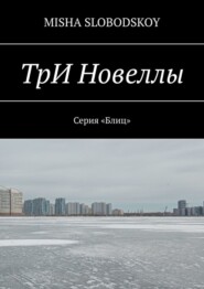 бесплатно читать книгу ТрИ Новеллы автора Misha Slobodskoy