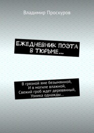 бесплатно читать книгу Ежедневник поэта в тюрьме… автора Владимир Проскуров