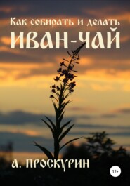 бесплатно читать книгу Как собирать и делать иван-чай автора Александр Проскурин