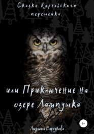 бесплатно читать книгу Приключение на озере Лампушка автора Люся Лисичкина