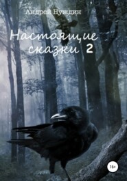 бесплатно читать книгу Настоящие сказки 2 автора Андрей Нуждин