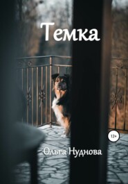 бесплатно читать книгу Темка автора Ольга Нуднова