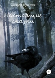 бесплатно читать книгу Настоящие сказки автора Андрей Нуждин