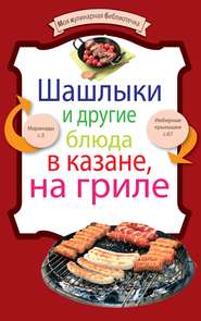 бесплатно читать книгу Шашлыки и другие блюда в казане, на гриле автора 