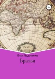 бесплатно читать книгу Братья автора Илья Ледоколов