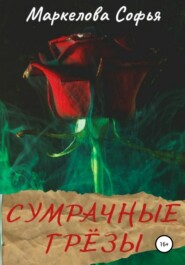бесплатно читать книгу Сумрачные грёзы автора Софья Маркелова