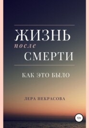бесплатно читать книгу Жизнь после смерти: как это было автора Лера Некрасова