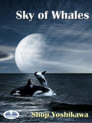 бесплатно читать книгу Sky Of Whales автора Shoji Yoshikawa
