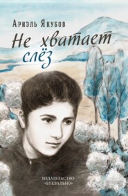 бесплатно читать книгу Не хватает слёз автора Ариэль Якубов