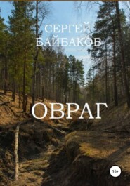 бесплатно читать книгу Овраг автора Сергей Байбаков