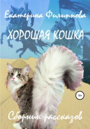 бесплатно читать книгу Хорошая кошка автора Екатерина Филиппова