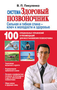 бесплатно читать книгу Система «Здоровый позвоночник» автора Владимир Пикуленко