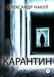 бесплатно читать книгу Карантин автора Александр Накул