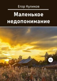 бесплатно читать книгу Маленькое недопонимание автора Егор Куликов
