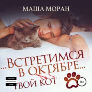 бесплатно читать книгу Встретимся в октябре. Твой кот автора Маша Моран