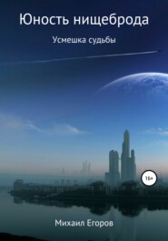бесплатно читать книгу Юность нищеброда автора Михаил Егоров