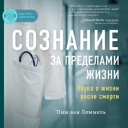 бесплатно читать книгу Сознание за пределами жизни. Наука о жизни после смерти автора Пим Ломмель