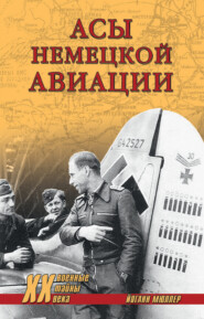 бесплатно читать книгу Асы немецкой авиации автора Йоганн Мюллер