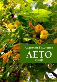 бесплатно читать книгу Лето автора Анатолий Болутенко