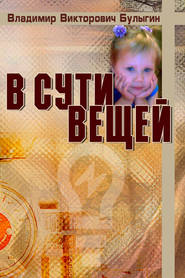 бесплатно читать книгу В сути вещей автора Владимир Булыгин