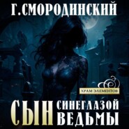 бесплатно читать книгу Сын синеглазой ведьмы автора Георгий Смородинский