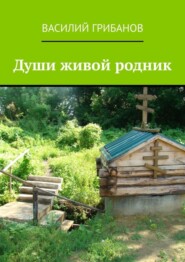 бесплатно читать книгу Души живой родник автора Василий Грибанов