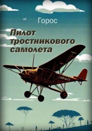 бесплатно читать книгу Пилот тростникового аэродрома автора  Горос