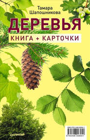 бесплатно читать книгу Деревья. Книга + карточки автора Тамара Шапошникова