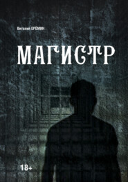 бесплатно читать книгу Магистр автора Виталий Еремин