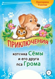 бесплатно читать книгу Приключения котёнка Сёмы и его друга пса Грома автора Екатерина Толстая